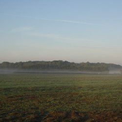 2012 Koprník MirekTopinka